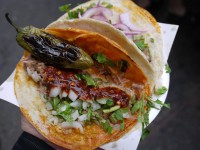 /album/fotogaleria-galeria-/birria-lengua-jpg/