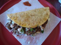 /album/fotogaleria-galeria-/l-jpg/